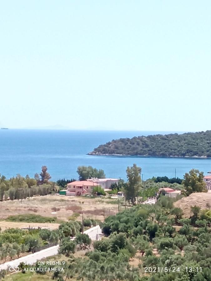 Villas Guest House Vathi  Exterior photo